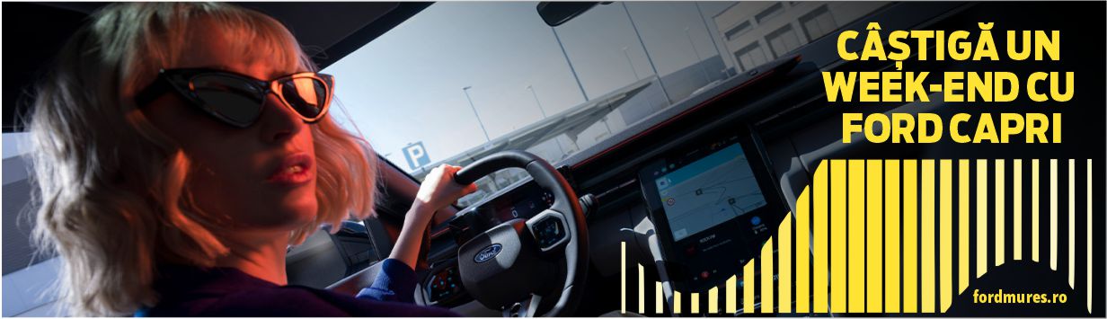 martisor_ford_site_1